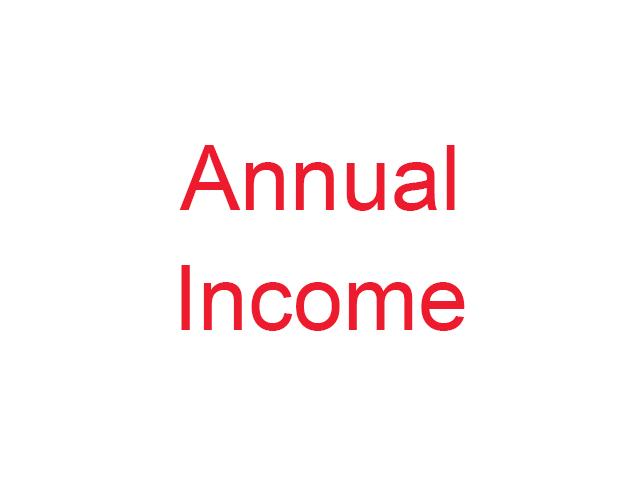 Annual Income