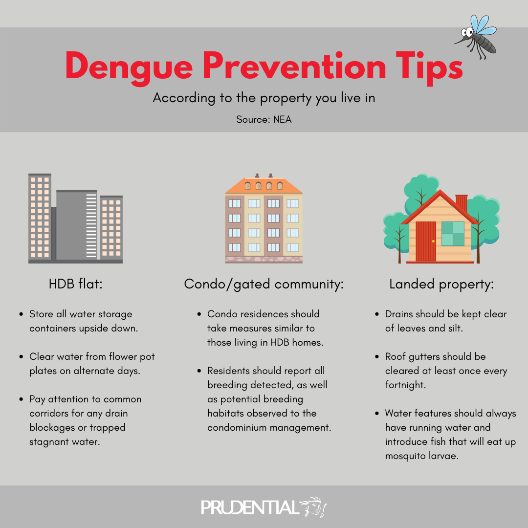 3 Ways to Protect Your Family from Dengue Fever in Singapore