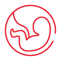 stepper icon