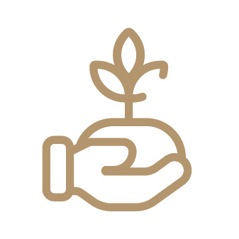 stepper icon